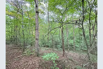 9550 Grande Drive, Winston, GA 30187 - Photo 8
