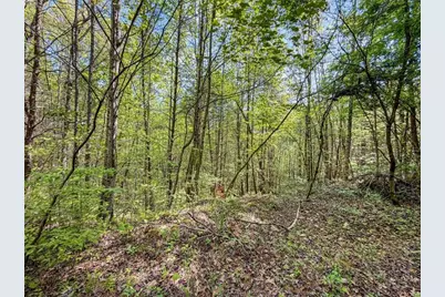 80 Acr Valley Lake Road, Mineral Bluff, GA 30559 - Photo 20