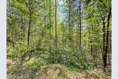80 Acr Valley Lake Road, Mineral Bluff, GA 30559 - Photo 22
