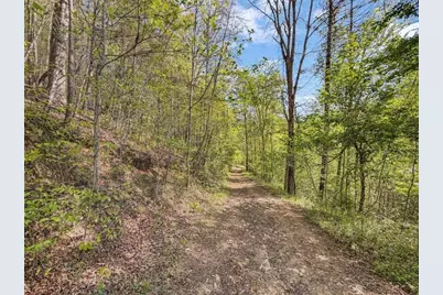 80 Acr Valley Lake Road, Mineral Bluff, GA 30559 - Photo 12