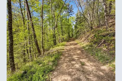 80 Acr Valley Lake Road, Mineral Bluff, GA 30559 - Photo 28