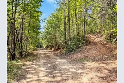80 Acr Valley Lake Road, Mineral Bluff, GA 30559 - Photo 10