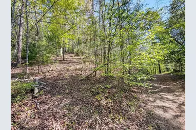 80 Acr Valley Lake Road, Mineral Bluff, GA 30559 - Photo 18