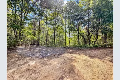 80 Acr Valley Lake Road, Mineral Bluff, GA 30559 - Photo 16