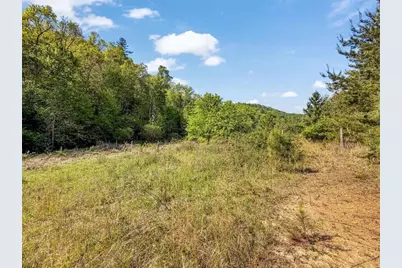 80 Acr Valley Lake Road, Mineral Bluff, GA 30559 - Photo 56
