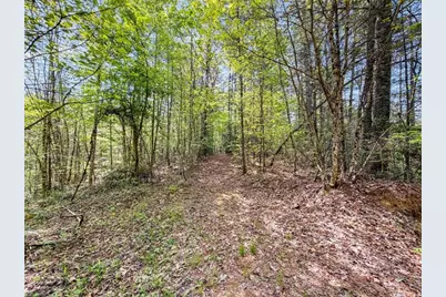 80 Acr Valley Lake Road, Mineral Bluff, GA 30559 - Photo 14