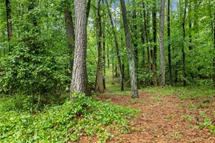 2885 Callie Still Rd, Lawrenceville, GA 30045 - Photo 50