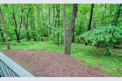 219 Oak Forest Drive, Canton, GA 30115 - Photo 48