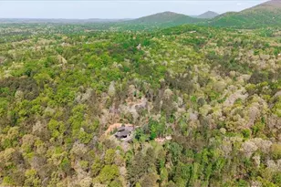 545 Cowart Mountain Rd, Jasper, GA 30143 - Photo 52