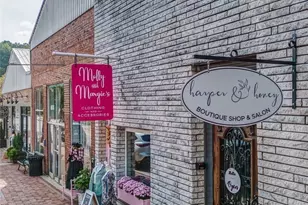 379 Old Canton Rd, Ball Ground, GA 30107 - Photo 74