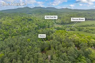 435 Dogwood Way, Blue Ridge, GA 30513 - Photo 64
