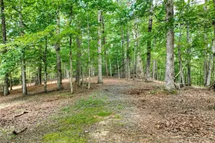 88 Wagon Tracks Ridge, Mineral Bluff, GA 30559 - Photo 60