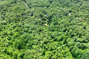 88 Wagon Tracks Ridge, Mineral Bluff, GA 30559 - Photo 66