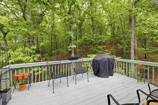 1077 Panorama Dr, Sautee Nacoochee, GA 30571 - Photo 24