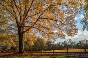 20 Sweetwood Ct, Roswell, GA 30076 - Photo 80