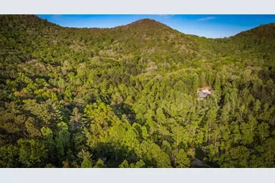 391 Forest Service 117 Road, Blairsville, GA 30512 - Photo 22