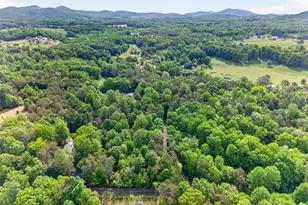 195 Phillips Dr, Cleveland, GA 30528 - Photo 70