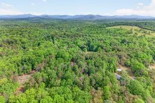 195 Phillips Dr, Cleveland, GA 30528 - Photo 76