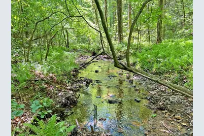 10.5Ac Jack Walker Road, Dahlonega, GA 30533 - Photo 10