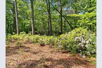 10.5Ac Jack Walker Road, Dahlonega, GA 30533 - Photo 4