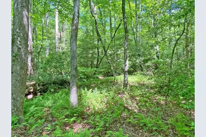 10.5Ac Jack Walker Road, Dahlonega, GA 30533 - Photo 6