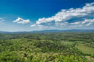 210 Shade Tree Ln, Mineral Bluff, GA 30559 - Photo 6
