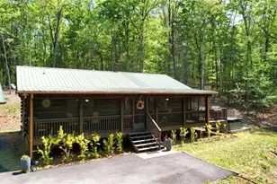 210 Shade Tree Ln, Mineral Bluff, GA 30559 - Photo 2