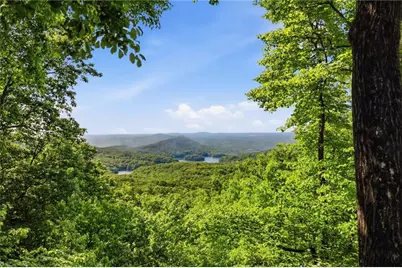 1115 Wild Turkey Bluff, Big Canoe, GA 30143 - Photo 2