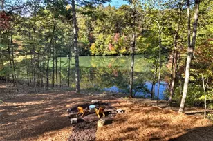 382 Pocaset Dr, Ellijay, GA 30540 - Photo 48