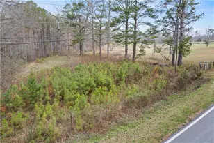 5534 Steadman Rd, Tallapoosa, GA 30176 - Photo 36