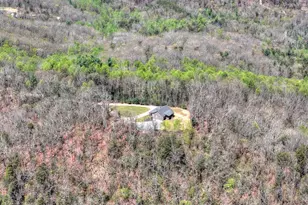 1073 Old Burnt Mountain Rd, Ellijay, GA 30536 - Photo 44