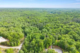 53 Elm Ridge Dr, Cleveland, GA 30528 - Photo 52