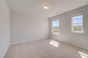 665 Leafy Br Wy, McDonough, GA 30253 - Photo 18