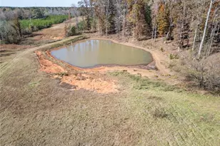 104 Beaver Dam Dr, Eatonton, GA 31024 - Photo 48