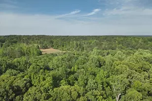 2033 Peeksville Rd, Locust Grove, GA 30248 - Photo 16