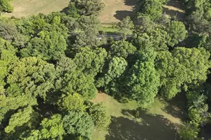 2033 Peeksville Rd, Locust Grove, GA 30248 - Photo 66