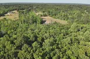 2033 Peeksville Rd, Locust Grove, GA 30248 - Photo 72