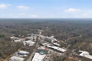 943 N Ormewood Park, Atlanta, GA 30316 - Photo 54