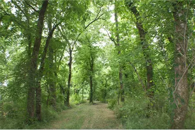 4619 S 341 Highway, Chickamauga, GA 30707 - Photo 186