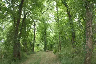 4619 S 341 Hwy, Chickamauga, GA 30707 - Photo 186