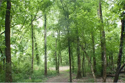 4619 S 341 Highway, Chickamauga, GA 30707 - Photo 194