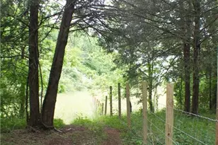 4619 S 341 Hwy, Chickamauga, GA 30707 - Photo 128