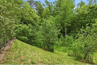 1801 Soap Creek Road, Ball Ground, GA 30107 - Photo 46