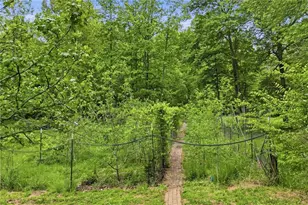 1801 Soap Creek Rd, Ball Ground, GA 30107 - Photo 44