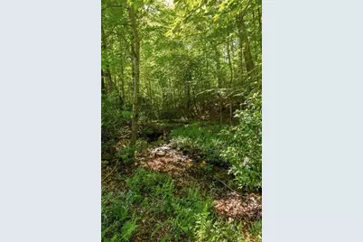 1074 Aubery Lane Lane, Morganton, GA 30560 - Photo 34