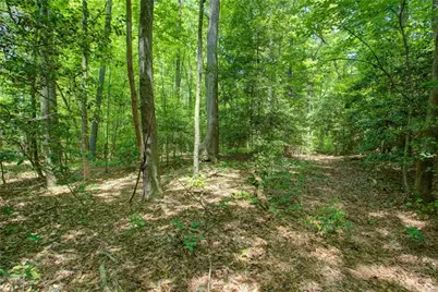 0 Hwy 136 (3.12 Acres), Dawsonville, GA 30534 - Photo 8