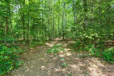 0 Hwy 136 (3.12 Acres), Dawsonville, GA 30534 - Photo 6