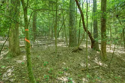 0 Hwy 136 (3.12 Acres), Dawsonville, GA 30534 - Photo 4