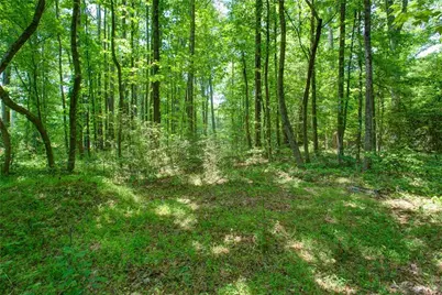 0 Hwy 136 (3.12 Acres), Dawsonville, GA 30534 - Photo 10