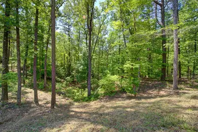 2182 Ben Higgins Road, Dahlonega, GA 30533 - Photo 20